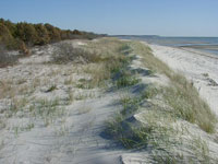 beach photo